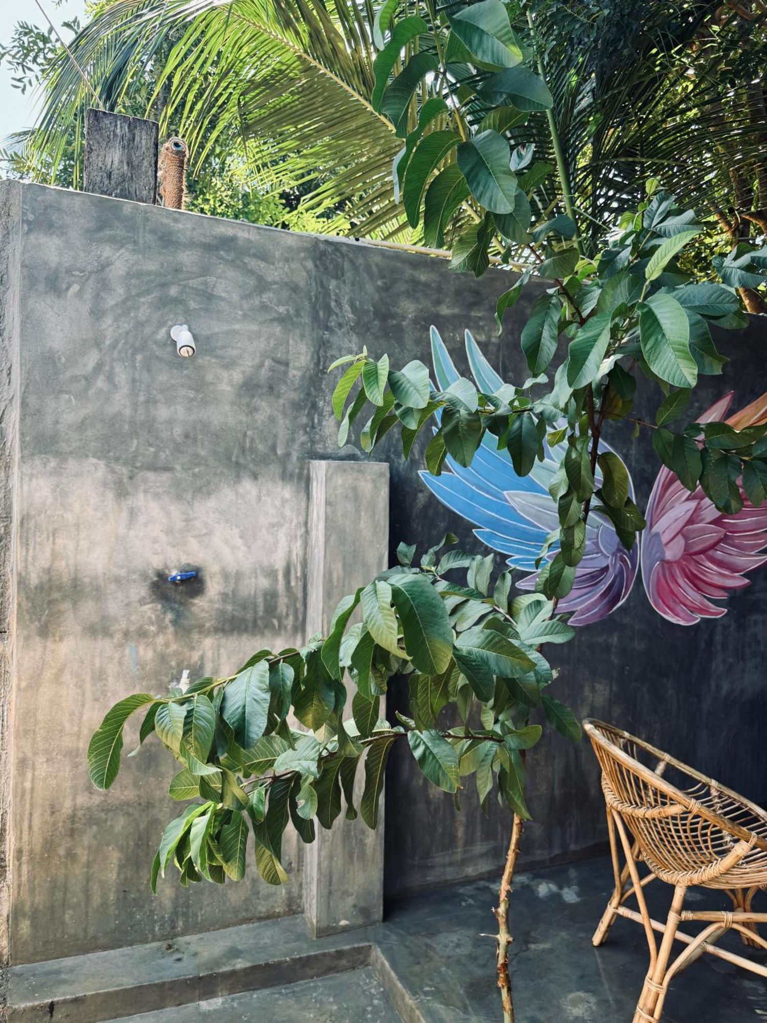 Dreamy Hostel Arugambay Arugam Kudah Eksteriør bilde