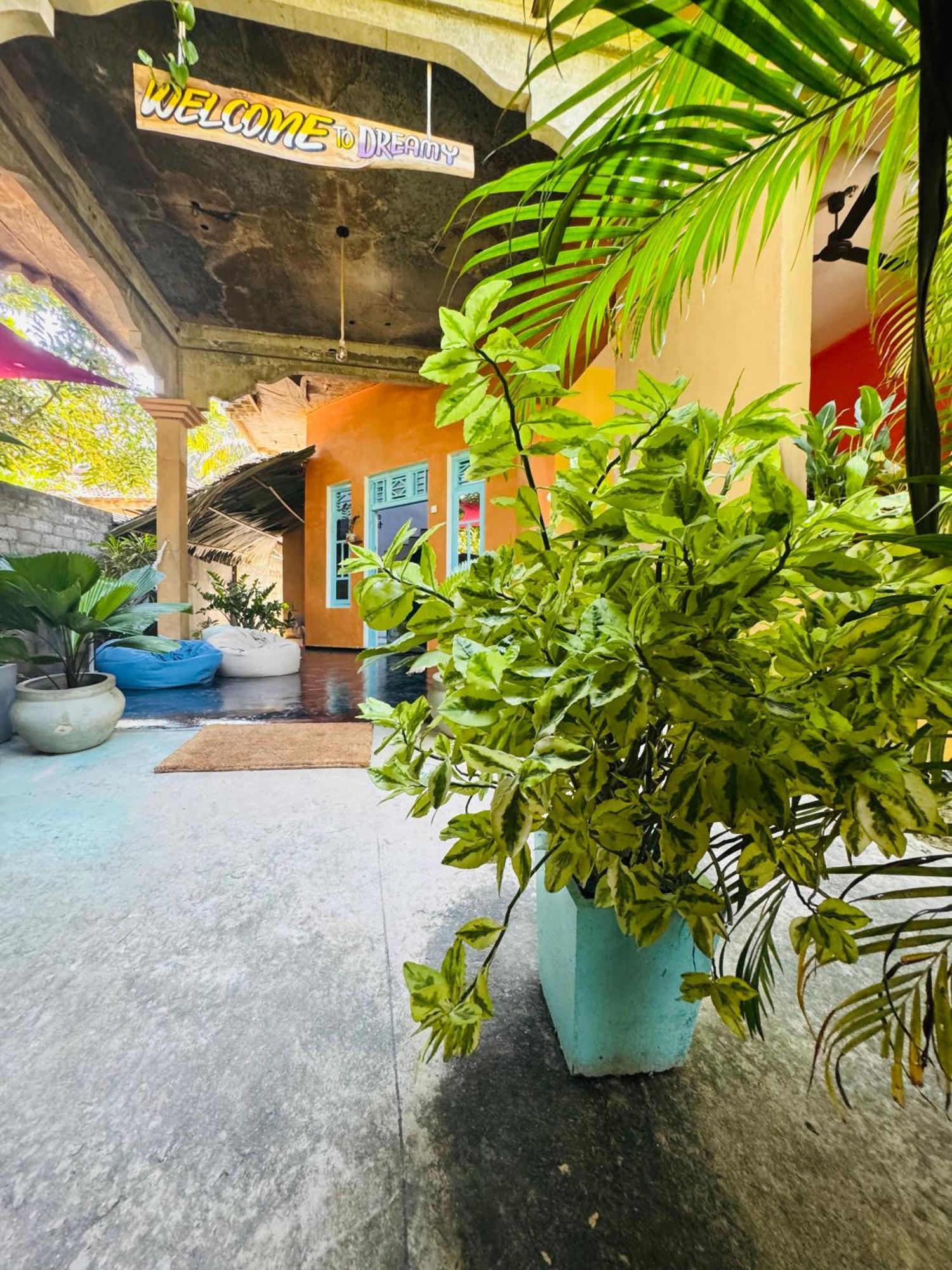 Dreamy Hostel Arugambay Arugam Kudah Eksteriør bilde